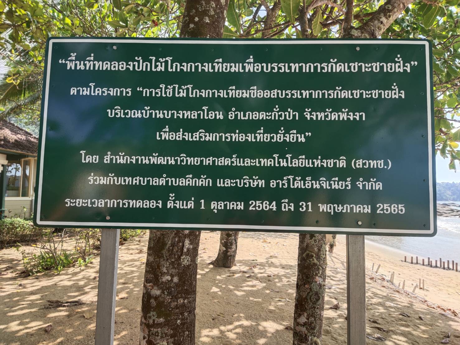 วันอังคารที่ 14 ธันวาคม 2564 เวลา 09.30น. เทศบาลตำบลคึกคักเข้าร่วมประชุมหารือร่วมกับชุมชนท้องถิ่นและลงพื้นที่คัดเลือก นำนวัตกรรมไม้โกงกางเทียมซีออสไปใช้ประโยชน์ในการเร่งการตกตะกอนและรักษามวลตะกอนทรายในพื้นที่กัดเซาะชายฝั่งบริเวณบ้านบางเนียง