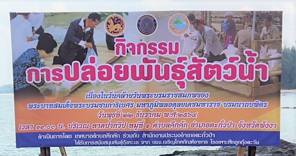 วันพุธที่ 22 ธันวาคม พ.ศ. 2564 เวลา 11.00 น. เทศบาลตำบลคึกคัก นำโดย นายชาตรี หลีเจี้ย รองนายกเทศมนตรีตำบลคึกคัก พร้อมด้วย ข้าราชการ พนักงานเทศบาลตำบลคึกคัก   เข้าร่วมกิจกรรมการปล่อยพันธ์สัตว์น้ำ เนื่องในวันคล้ายวันพระบรมราชสมภพของพระบาทสมเด็จพระบรมชนกาธิเบศร มหาภูมิพลอดุลยเดชมหาราช บรมนาถบพิตร โดยมี ผู้นำในพื้นที่และประชาชนจิตอาสาร่วมกิจกรรม ณ  หาดปากวีป  หมู่ที่ 1 ตำบลคึกคัก อำเภอตะกั่วป่า จังหวัดพังงา