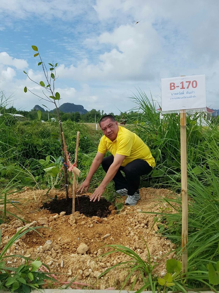 เทศบาลตำบลคึกคักเข้าร่วมกิจกรรมปลูกต้นไม้บน ถนนเฉลิมพระเกียรติตามโครงการ 1 จังหวัด 1 ถนนเฉลิมพระเกียรติ เนื่องในวันเฉลิมพระชนมพรรษาฯ 28 กรกฎาคม 2562 